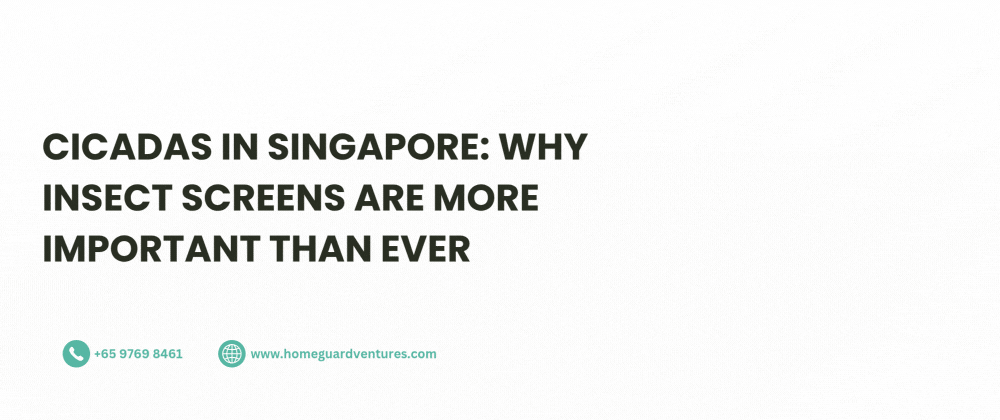 Cicadas in Singapore: Why Insect Screens Are More Important Than Ever